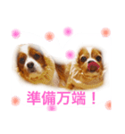 ちょこくる2（個別スタンプ：7）