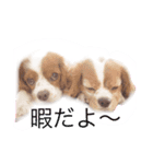 ちょこくる2（個別スタンプ：8）