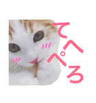 リオとそらのすたんぷ 第1弾（個別スタンプ：4）