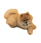 pomeranian.ponzu（個別スタンプ：15）