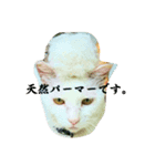 ねっこっ！（個別スタンプ：1）