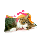 ねっこっ！（個別スタンプ：2）
