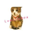 ねっこっ！（個別スタンプ：3）