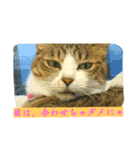 ねっこっ！（個別スタンプ：5）