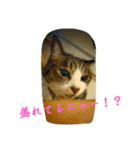 ねっこっ！（個別スタンプ：8）