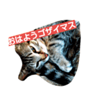 なるくんと七ちゃんのゆる～い毎日（個別スタンプ：7）