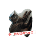 なるくんと七ちゃんのゆる～い毎日（個別スタンプ：8）