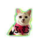 まつ時々きのこ（個別スタンプ：3）