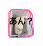 まつ時々きのこ（個別スタンプ：5）