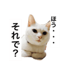 グーグーグータンゴンチャロフのSticker（個別スタンプ：1）