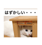 グーグーグータンゴンチャロフのSticker（個別スタンプ：25）