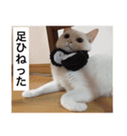 グーグーグータンゴンチャロフのSticker（個別スタンプ：30）