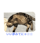 マルの日常（個別スタンプ：9）