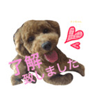てまりん（個別スタンプ：3）
