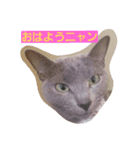 あずきとあんこ（個別スタンプ：5）