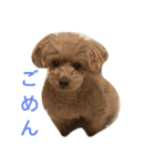 p.a（個別スタンプ：2）