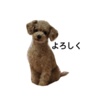 p.a（個別スタンプ：3）
