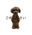 p.a（個別スタンプ：6）