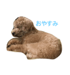 p.a（個別スタンプ：7）