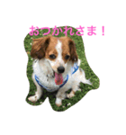 ナビスコブラザーズ（個別スタンプ：5）