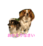 ナビスコブラザーズ（個別スタンプ：6）