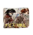 ナビスコブラザーズ（個別スタンプ：8）