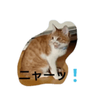 自己中まある（個別スタンプ：5）
