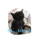 catlove5510（個別スタンプ：18）