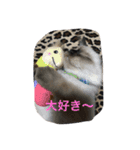 catlove5510（個別スタンプ：24）