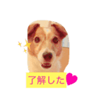 adpjgmt（個別スタンプ：2）