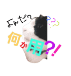 僕チャーリー！（個別スタンプ：6）