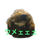 すたんぷちゃっぷ（個別スタンプ：4）