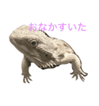 びーんず、（個別スタンプ：5）