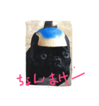 rido＆buran（個別スタンプ：8）