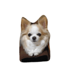 りんごあずちのすたんぷ（個別スタンプ：3）