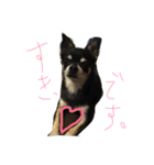 チワワのチョコちゃん♡（個別スタンプ：4）