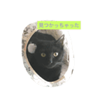 ニャッツ（個別スタンプ：8）