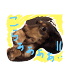 mico's stamp 2（個別スタンプ：13）