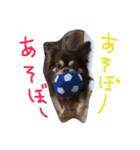 レック（個別スタンプ：14）