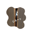 siba dog（個別スタンプ：6）