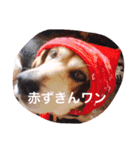 ココアちゃんの日常（個別スタンプ：8）