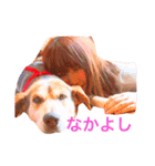 ココアちゃんの日常（個別スタンプ：11）