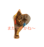まろんでし（個別スタンプ：1）