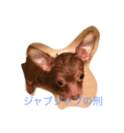まろんでし（個別スタンプ：3）