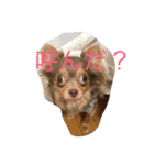 まろんでし（個別スタンプ：7）