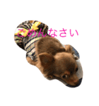 まろんでし（個別スタンプ：8）