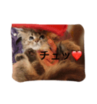 ニコ＆チャイ にゃんこ大好き（個別スタンプ：8）