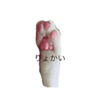 モフ次郎 1ニャン（個別スタンプ：4）