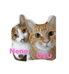 Uzu＆Nene（個別スタンプ：1）