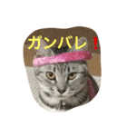 ニアとアン（個別スタンプ：1）